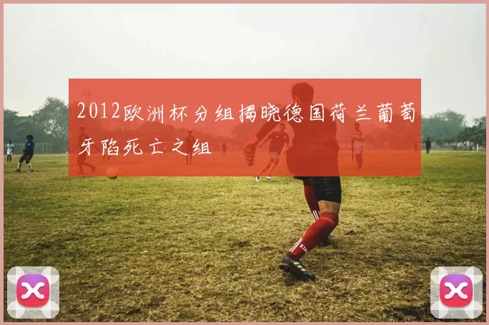 2012欧洲杯分组揭晓德国荷兰葡萄牙陷死亡之组