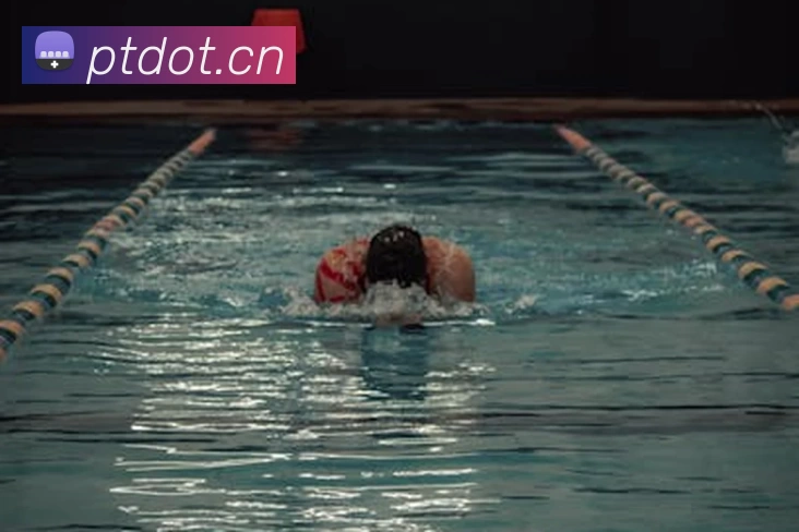 App Interface Preview